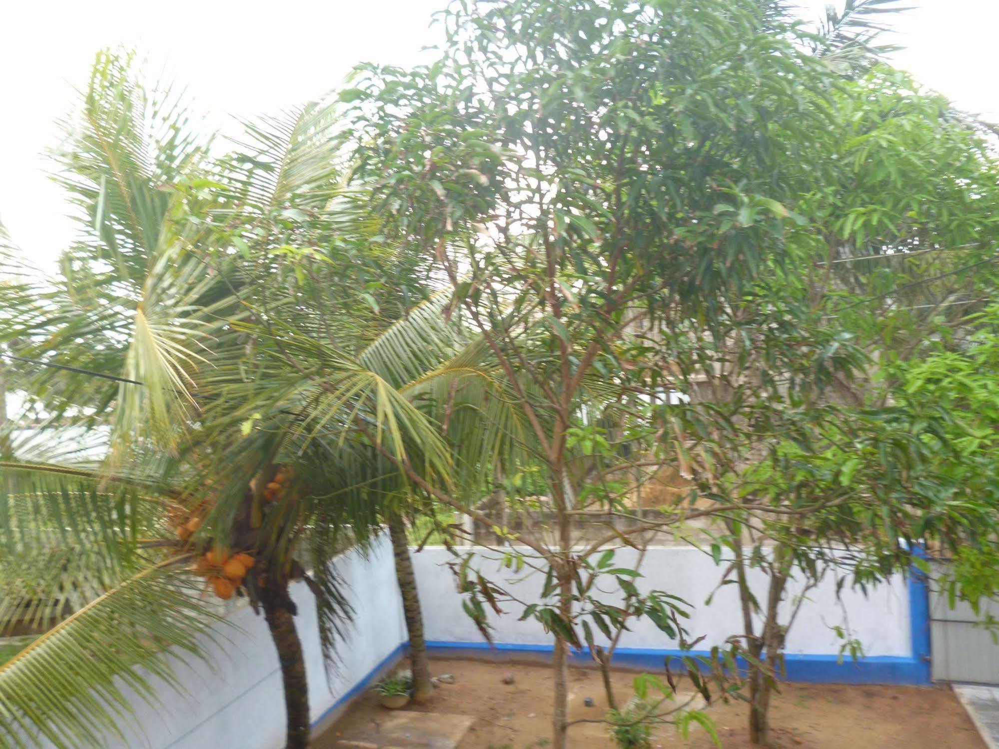SeaView Paradise Inn Weligama Bagian luar foto